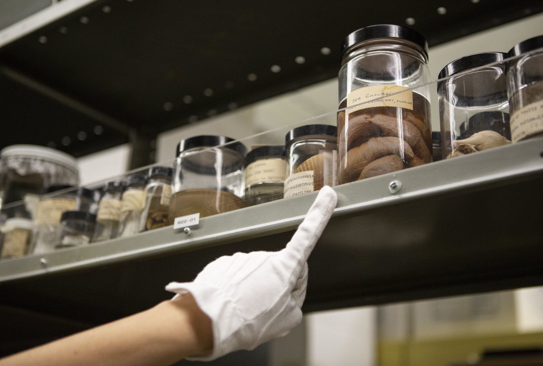 Science Center Collections